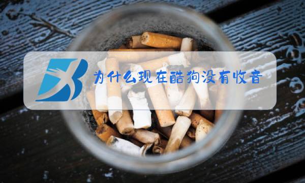 为什么现在酷狗没有收音机电台了啦?图片