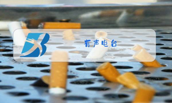 有声电台图片