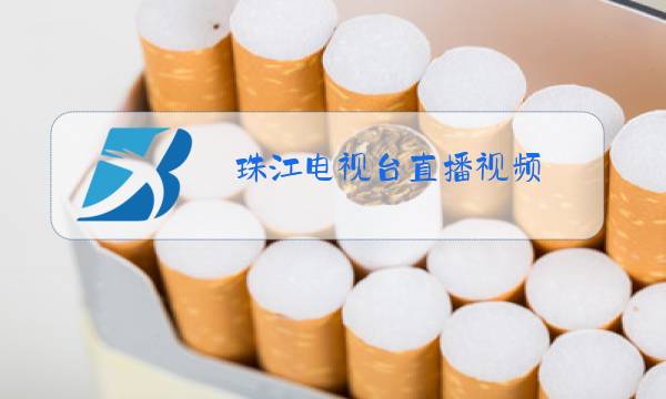 珠江电视台直播视频图片