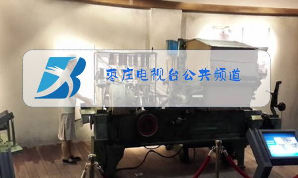 枣庄电视台公共频道图片