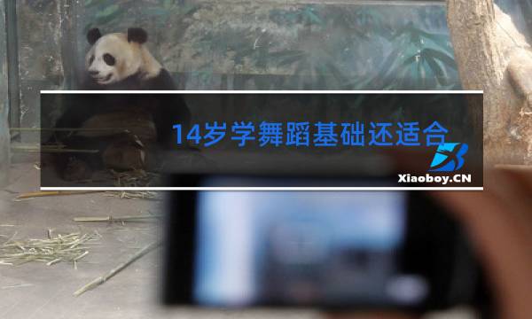 14岁学舞蹈基础还适合吗图片