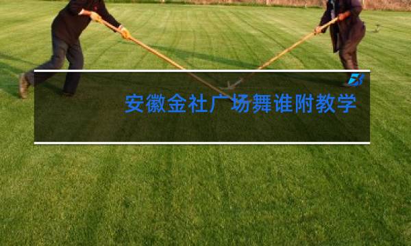 安徽金社广场舞谁附教学