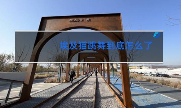 埃及猫跳舞到底怎么了