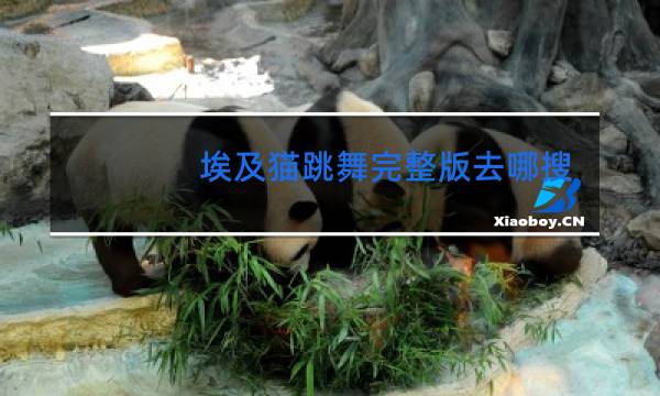 埃及猫跳舞完整版去哪搜