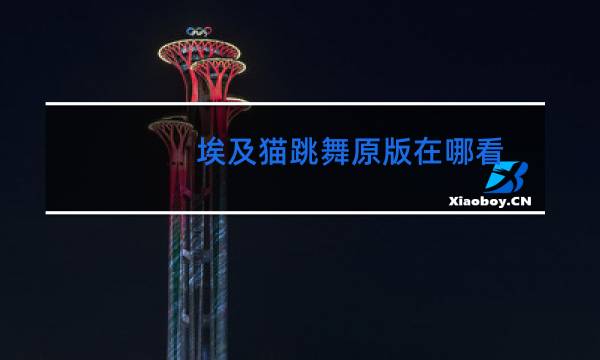 埃及猫跳舞原版在哪看图片