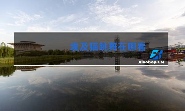 埃及猫跳舞在哪看