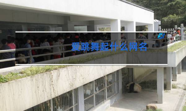 爱跳舞起什么网名