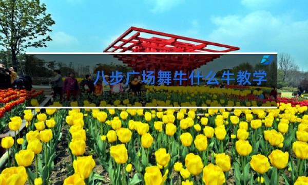 八步广场舞牛什么牛教学图片
