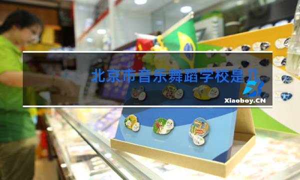 北京市音乐舞蹈学校是几本