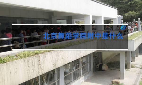 北京舞蹈学院附中是什么学校