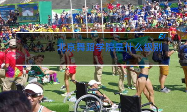 北京舞蹈学院是什么级别图片