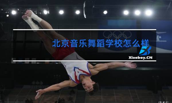 北京音乐舞蹈学校怎么样