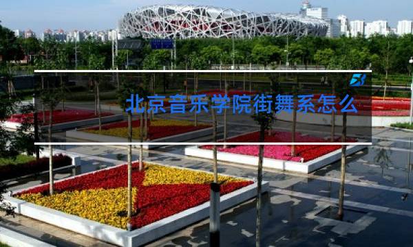北京音乐学院街舞系怎么考