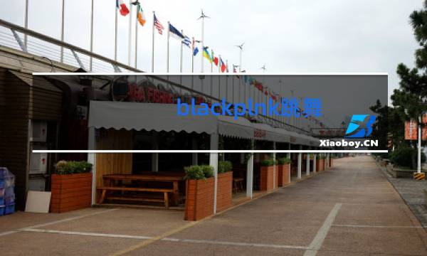 blackplnk跳舞发型怎样扎图片