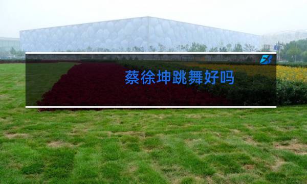 蔡徐坤跳舞好吗