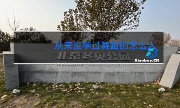 从来没学过舞蹈的怎么入门