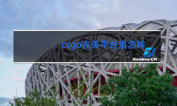 csgo完美平台里怎样跳舞
