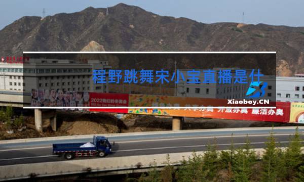 程野跳舞宋小宝直播是什么图片