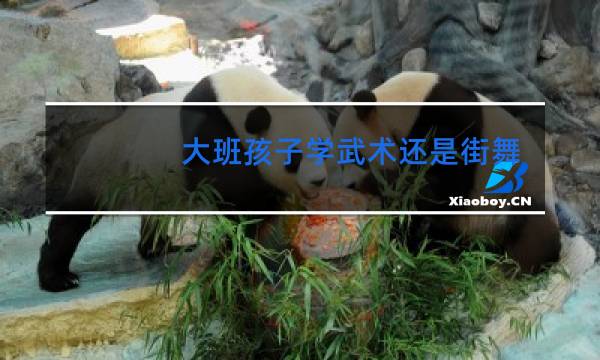 大班孩子学武术还是街舞