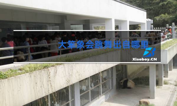 大笨象会跳舞出自哪里