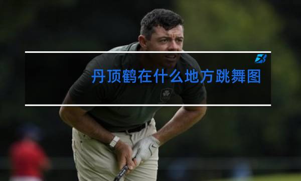 丹顶鹤在什么地方跳舞图