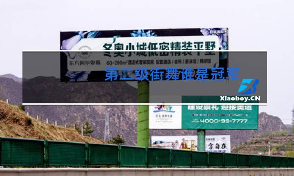 第二级街舞谁是冠军