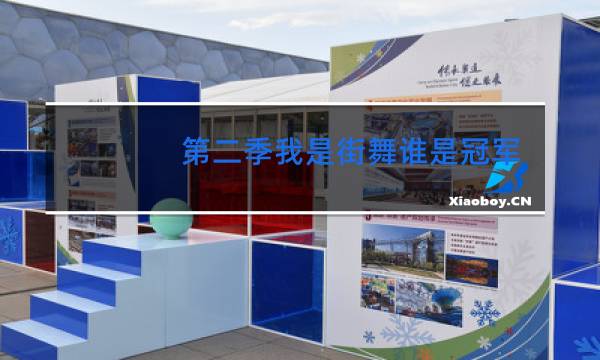 第二季我是街舞谁是冠军