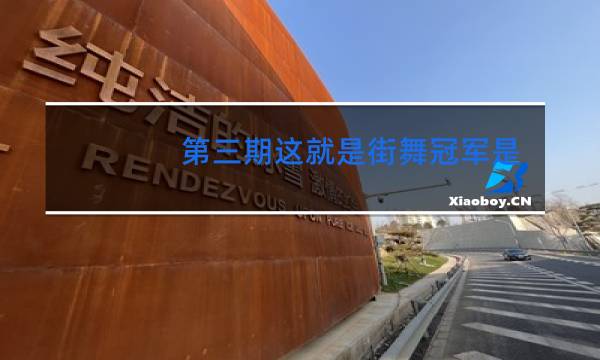 第三期这就是街舞冠军是谁