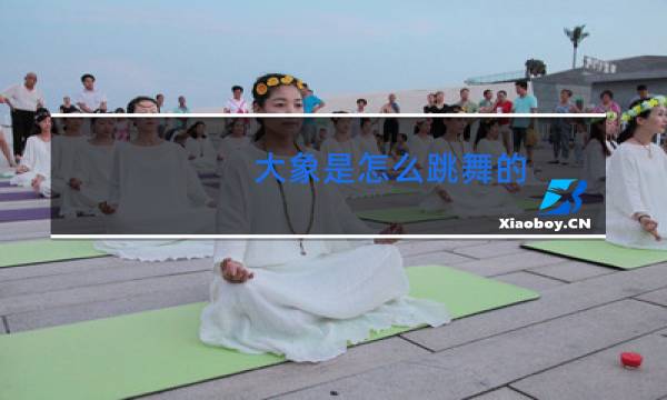 大象是怎么跳舞的图片