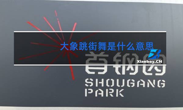 大象跳街舞是什么意思