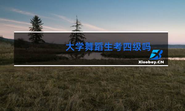 大学舞蹈生考四级吗
