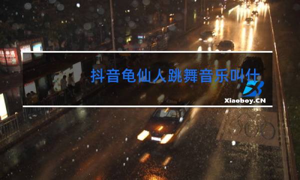 抖音龟仙人跳舞音乐叫什么