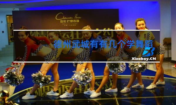 德州武城有有几个学舞蹈的地方