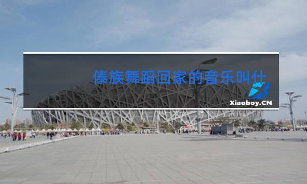 傣族舞蹈回家的音乐叫什么