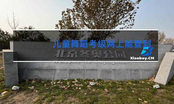 儿童舞蹈考级网上能查到么