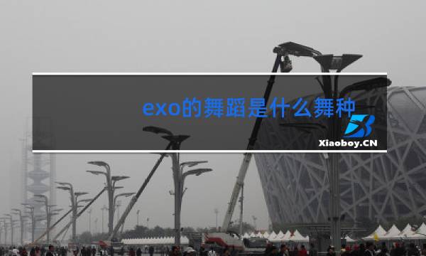 exo的舞蹈是什么舞种图片