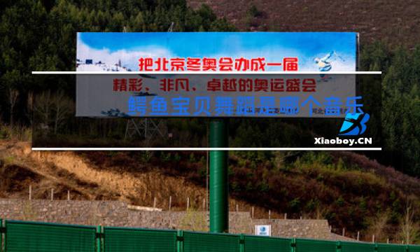 鳄鱼宝贝舞蹈是哪个音乐