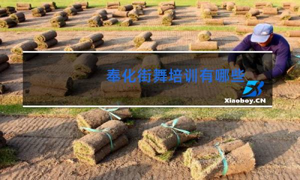 奉化街舞培训有哪些图片