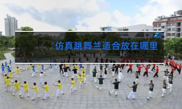 仿真跳舞兰适合放在哪里