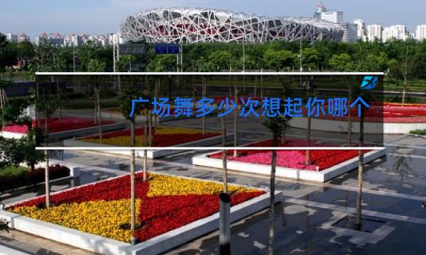 广场舞多少次想起你哪个版本好看图片