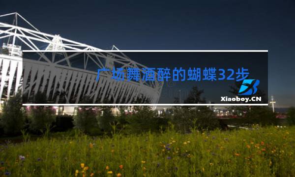 广场舞酒醉的蝴蝶32步怎么下载图片