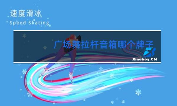 广场舞拉杆音箱哪个牌子好