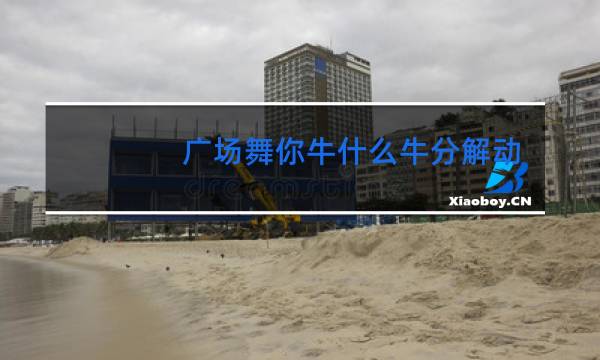 广场舞你牛什么牛分解动作图片