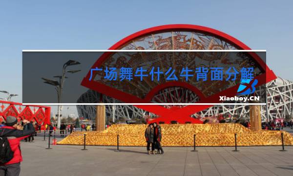 广场舞牛什么牛背面分解教学图片