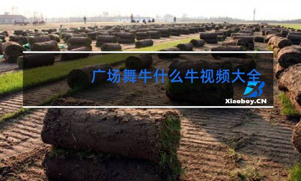 广场舞牛什么牛视频大全