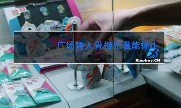 广场舞入骨相思谁能懂dj