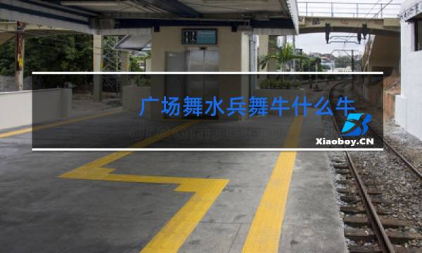 广场舞水兵舞牛什么牛
