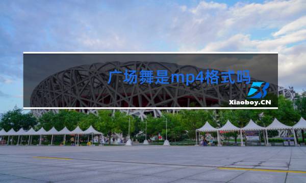 广场舞是mp4格式吗