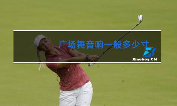 广场舞音响一般多少寸