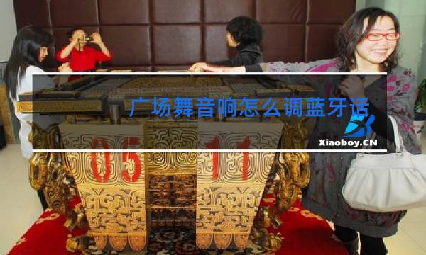 广场舞音响怎么调蓝牙话筒图片